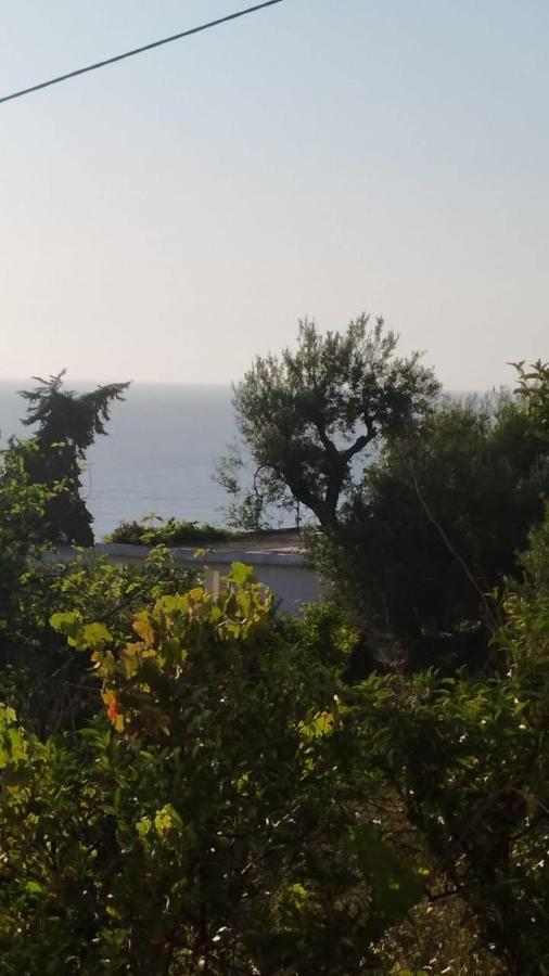 Mullaj Guest House Vlorë Buitenkant foto