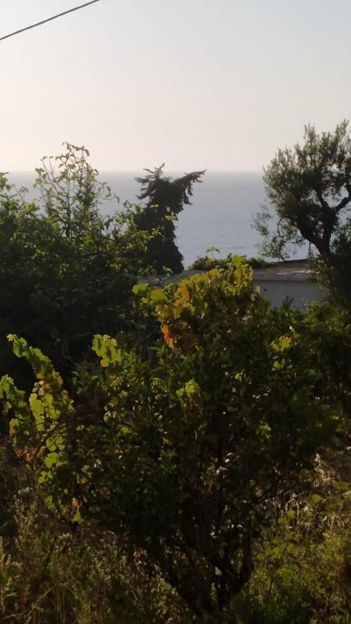 Mullaj Guest House Vlorë Buitenkant foto